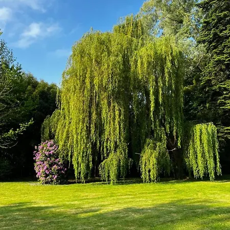 Le Clos De Lily *