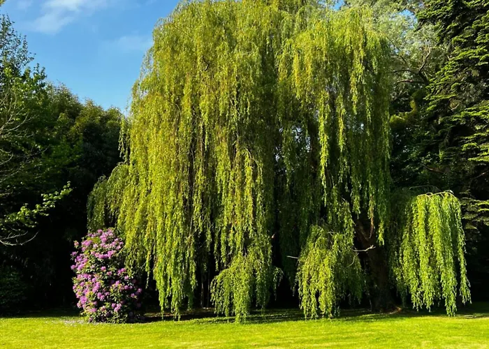 Le Clos De Lily * Coudray-Rabut